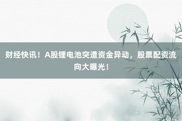 财经快讯！A股锂电池突遭资金异动，股票配资流向大曝光！
