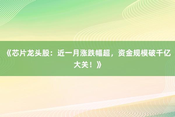 《芯片龙头股：近一月涨跌幅超，资金规模破千亿大关！》