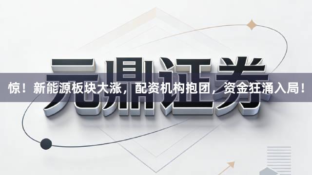 惊！新能源板块大涨，配资机构抱团，资金狂涌入局！