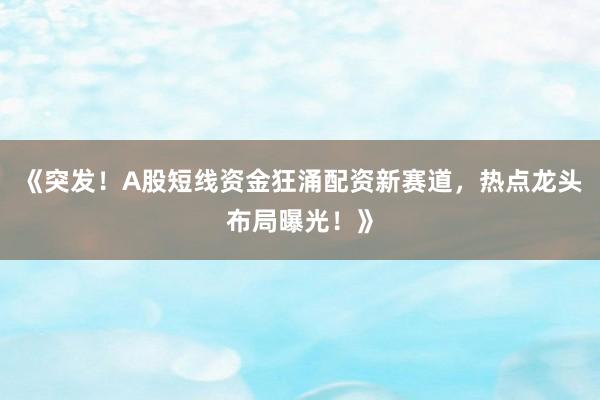 《突发!A股短线资金狂涌配资新赛道,热点龙头布局曝光!》