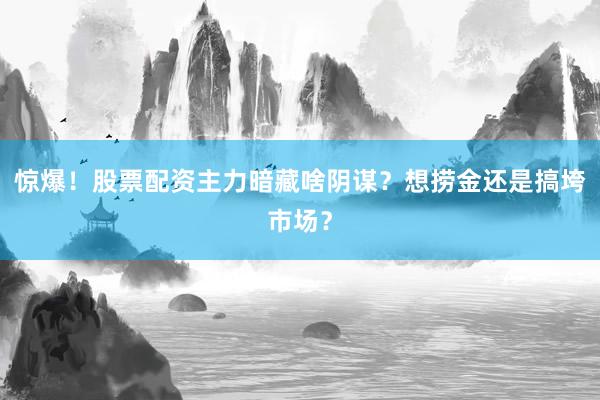 惊爆！股票配资主力暗藏啥阴谋？想捞金还是搞垮市场？