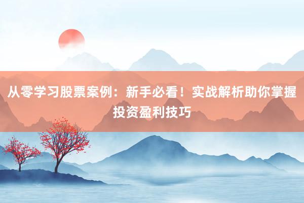 从零学习股票案例:新手必看!实战解析助你掌握投资盈利技巧