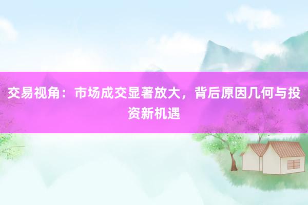 交易视角：市场成交显著放大，背后原因几何与投资新机遇