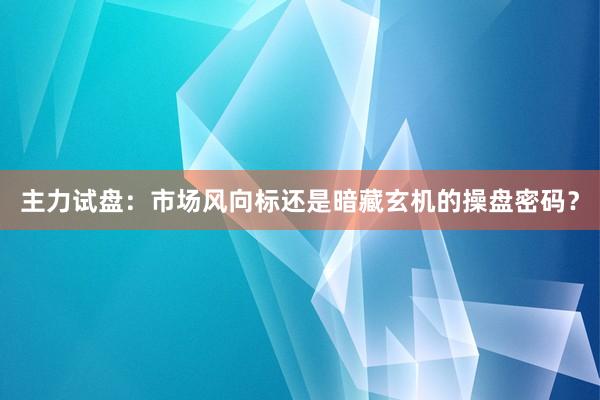 主力试盘：市场风向标还是暗藏玄机的操盘密码？