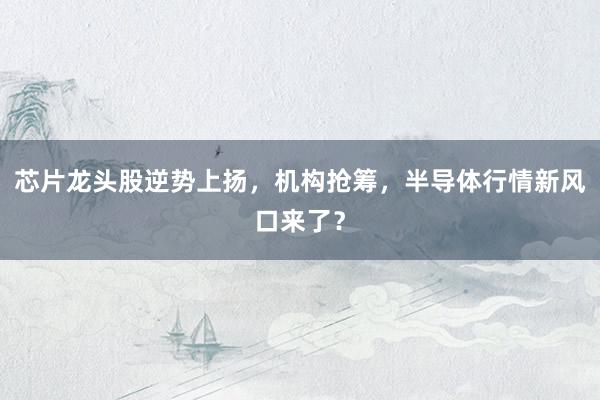 芯片龙头股逆势上扬，机构抢筹，半导体行情新风口来了？