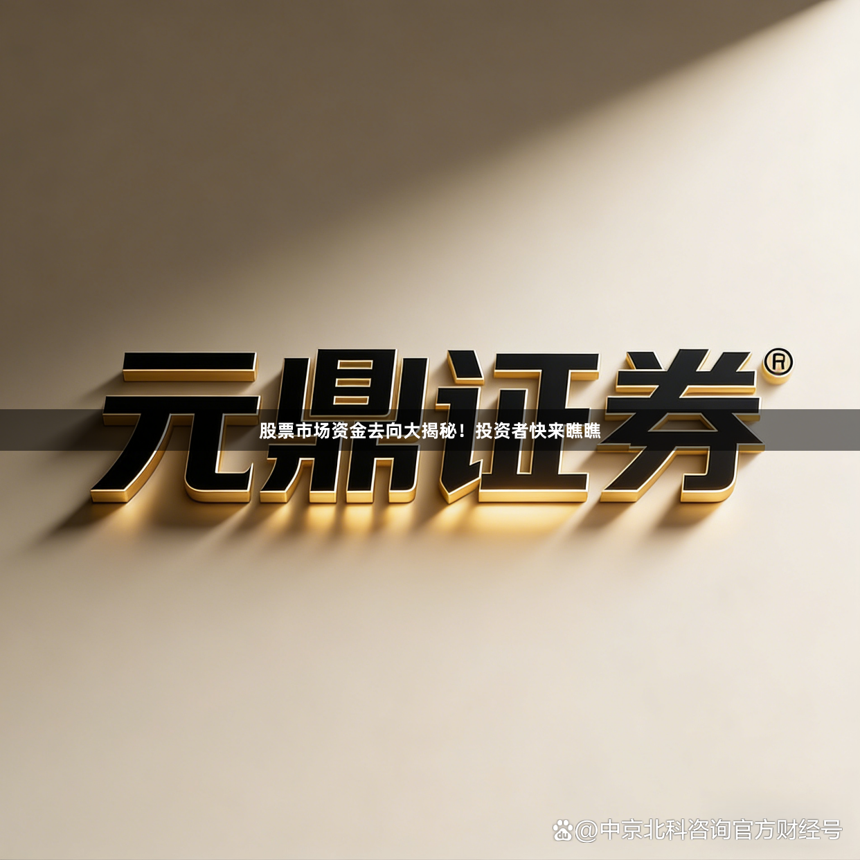 股票市场资金去向大揭秘！投资者快来瞧瞧