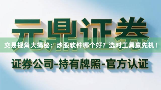 交易视角大揭秘：炒股软件哪个好？选对工具赢先机！