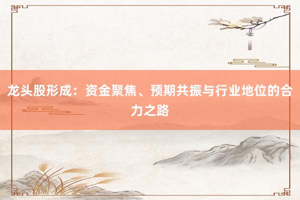 龙头股形成：资金聚焦、预期共振与行业地位的合力之路