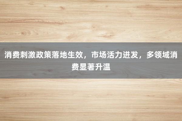 消费刺激政策落地生效，市场活力迸发，多领域消费显著升温