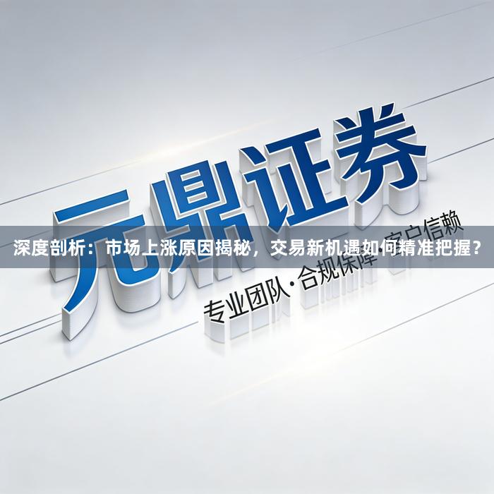 深度剖析:市场上涨原因揭秘,交易新机遇如何精准把握?