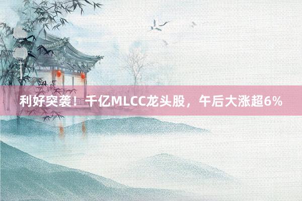 利好突袭！千亿MLCC龙头股，午后大涨超6%