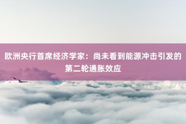 欧洲央行首席经济学家：尚未看到能源冲击引发的第二轮通胀效应