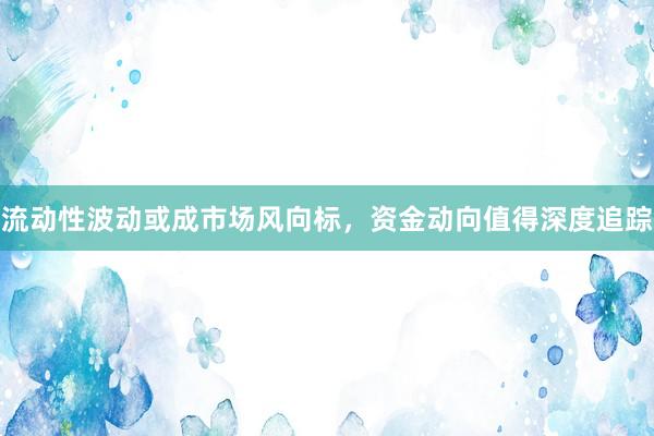 流动性波动或成市场风向标，资金动向值得深度追踪