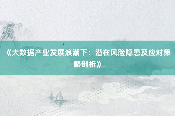 《大数据产业发展浪潮下：潜在风险隐患及应对策略剖析》