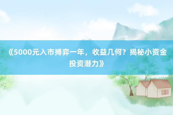 《5000元入市搏弈一年，收益几何？揭秘小资金投资潜力》